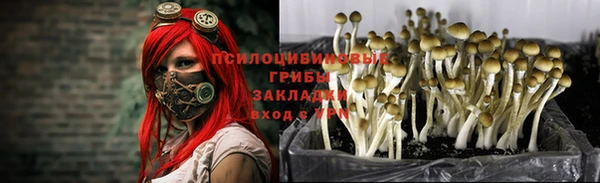 МДПВ Белоозёрский