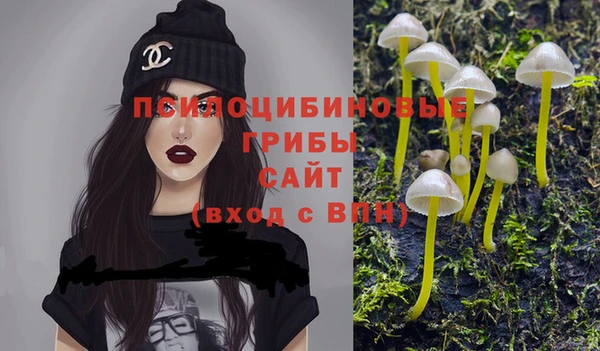 тгк Белокуриха