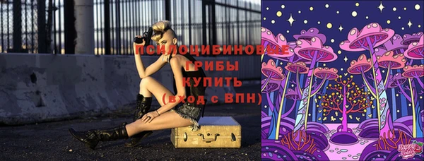 тгк Белокуриха