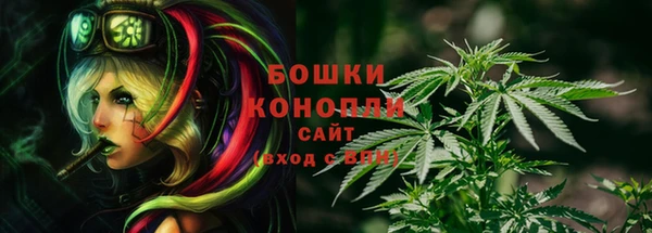 тгк Белокуриха
