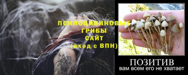 МДПВ Белоозёрский